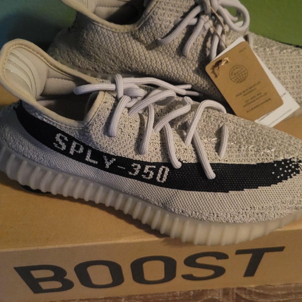 Yeezy boost 350